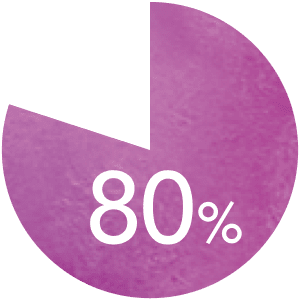 円グラフ 80%