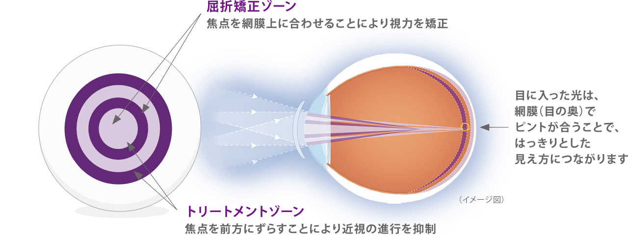 マイサイト ワンデー 機能紹介